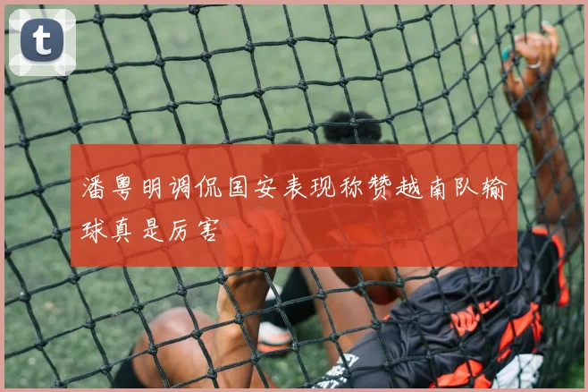 潘粤明调侃国安表现称赞越南队输球真是厉害
